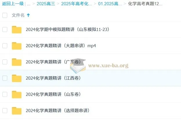 高中化学 2025高三高考化学 政哥李政 高考真题12小时精讲班