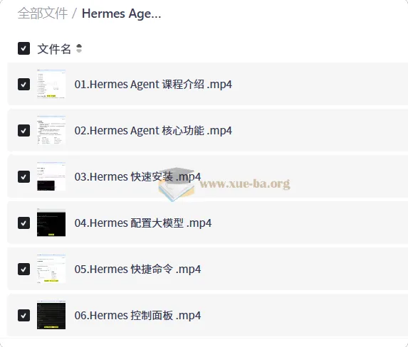 Hermes Agent智能体全维度实战课程 从部署到企业级应用