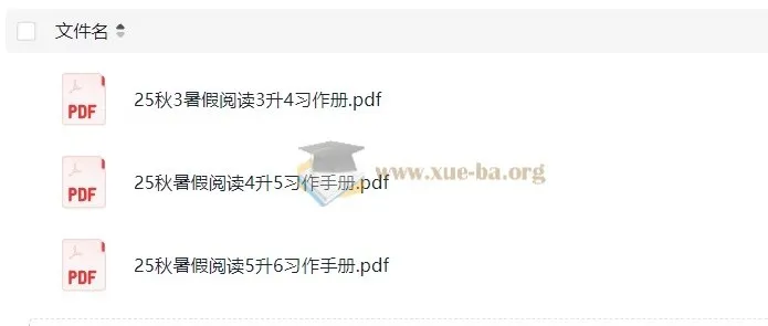 25年3-6年级小学语文 一本暑假习作手册（3升4、4升5、5升6）