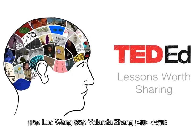 TED-Ed科普动画《你应该知道的知识》全学科合集