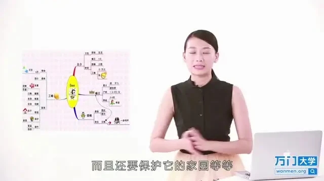世界记忆大师课程:快速提升记忆力的系统训练指南