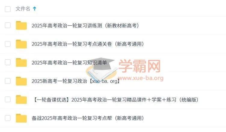 2025新高考高考政治一轮复习资料合集 考点通关+课件+学案+练习