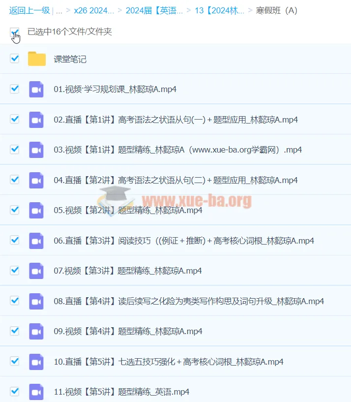 2024高三高考英语 林懿琼 寒假A班 课程资源