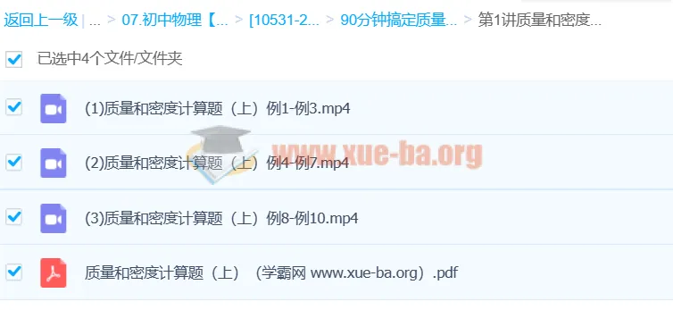 袁媛物理课程:90分钟攻克质量和密度计算题