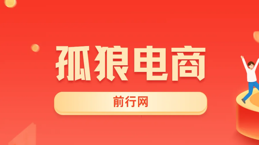 孤狼电商VIP教程：店群基础到4.0团队化全阶段实战课