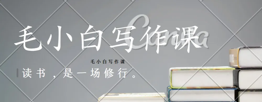 毛小白写作课：从入门到变现的系统写作实战指南