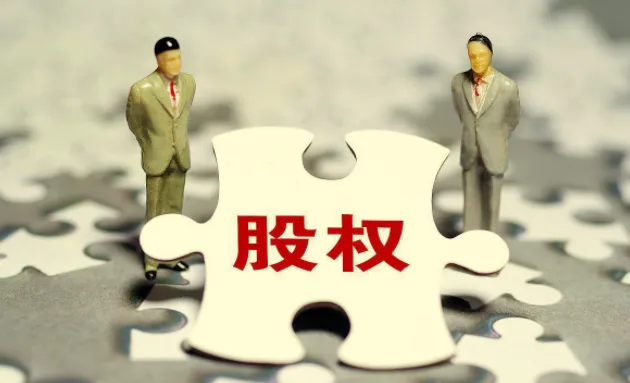 宋俊生《股权法律风险与常识》抖音同款课程 企业股权法律实务指南