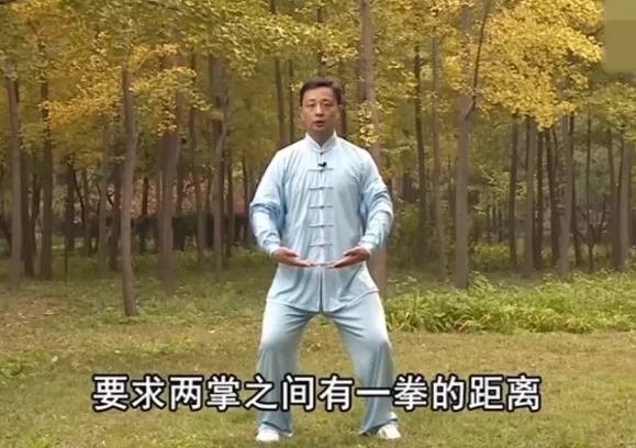 中华健身养生操合集:八段锦、五禽戏、易筋经、六字诀与太极拳教学资源