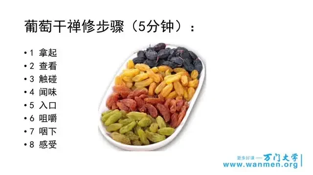 情绪管理视频+课件完整攻略:从认识自我到四大疗法实战