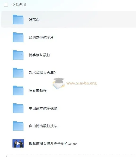 中国武术教学视频合集 擒拿格斗散打咏春拳教程