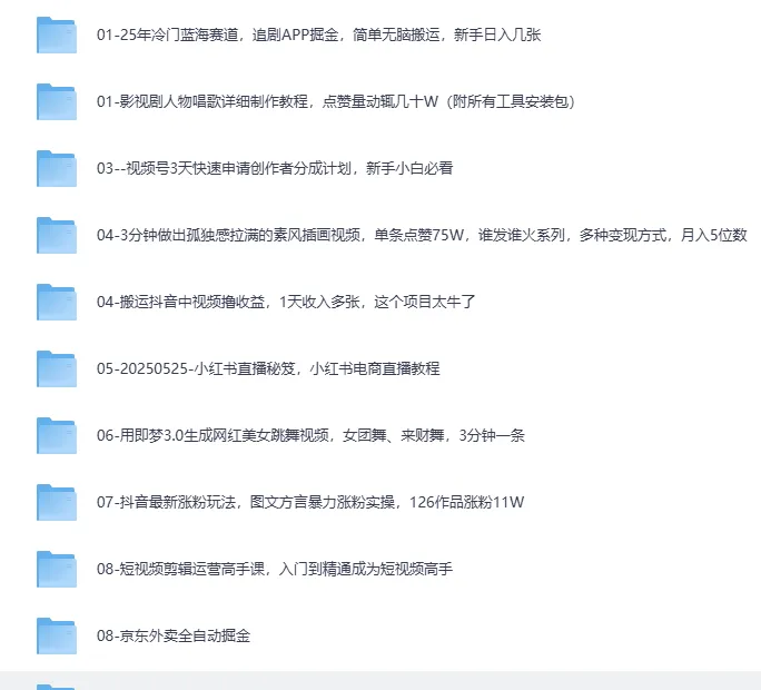 2025最新网创项目合集:事业赚钱必学教程,涵盖短视频带货、AI变现、小红书运营等实战玩法