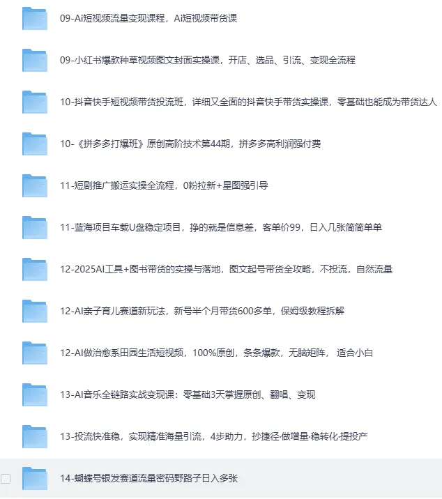 2025最新网创项目合集:事业赚钱必学教程,涵盖短视频带货、AI变现、小红书运营等实战玩法