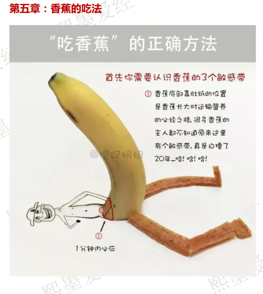 前X手册 By熙墨爱经 资源介绍