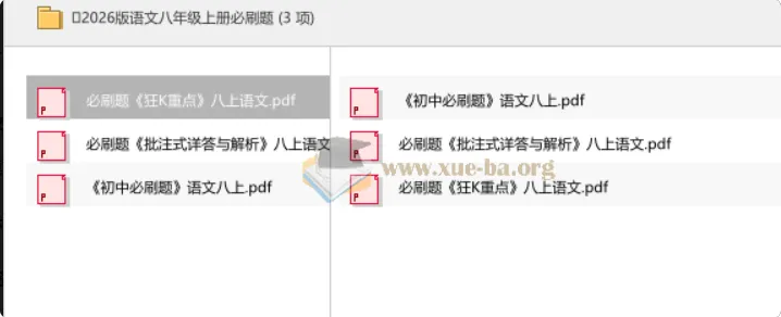2026版语文八年级上册必刷题 同步练习与详解全三册