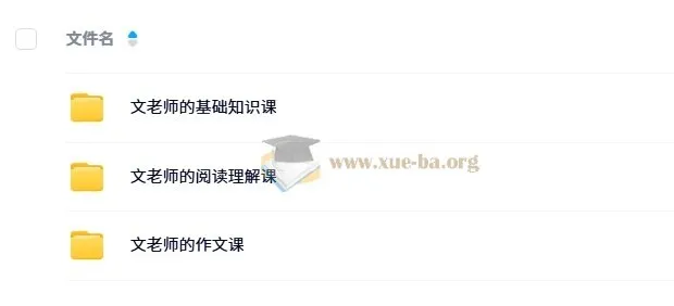 文老师《小学语文课程合集》 基础知识+阅读理解+作文 全套视频与讲义
