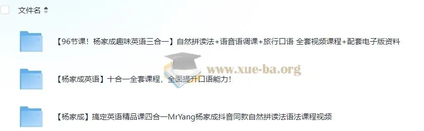 杨家成英语课程合集:十合一全套+精品课四合一+趣味英语三合一