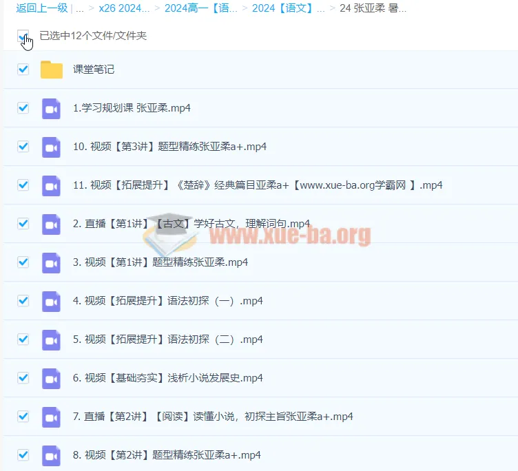 2024高中语文 高一张亚柔暑假课程 持续更新