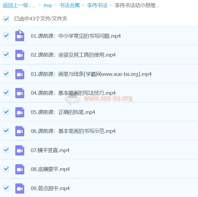 李伟书法幼小思维书写精品课 43讲系统训练
