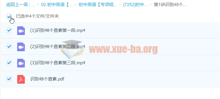 初中英语音标语法专项突破 开闭音节与48音素精讲