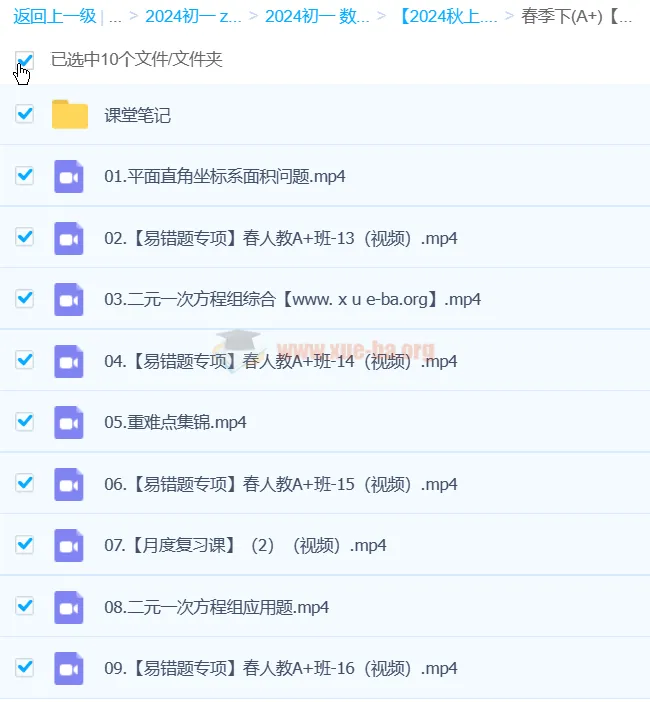 2024 A+寒假春季班 初一数学培训班(徐丝雨)课程合集
