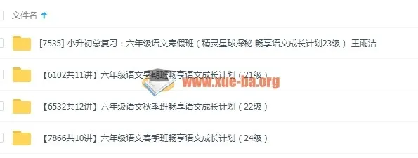 小升初总复习:六年级语文年卡(精灵星球探秘 畅享语文成长计划21-24级)40讲
