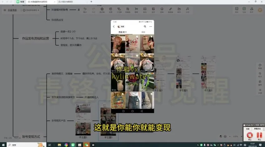 抖音浪漫图文涨粉变现教程:每天10分钟发图文日入600+