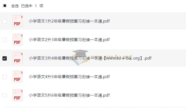 暑假预复习衔接一本通 小学语文 25年(1升2至5升6)