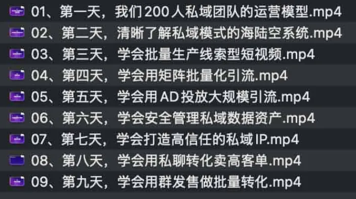 9天私域运营实战课:从引流到转化全流程拆解