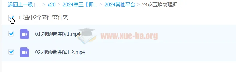 赵玉峰物理 2024高三高考物理押题课 考前冲刺提分