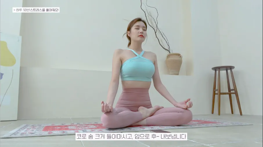 韩国云芝瑜伽视频教程合集 15节完整版