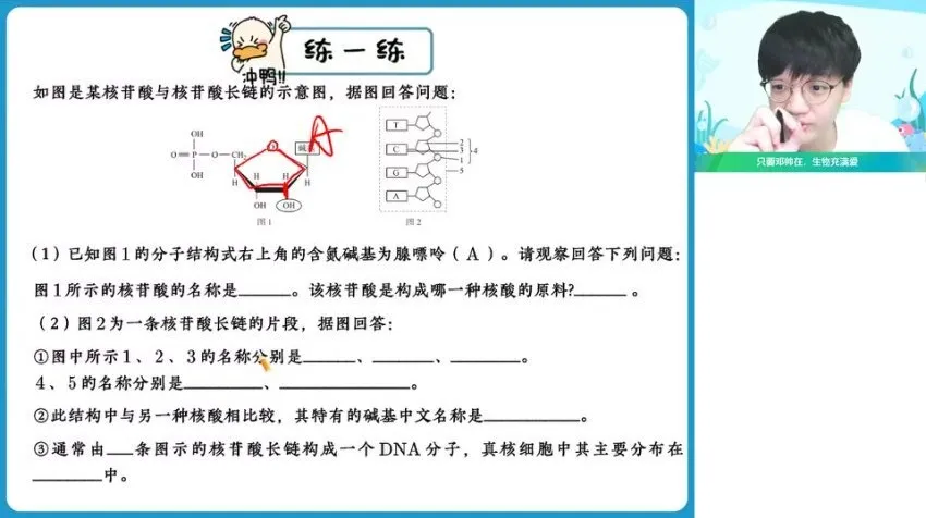 2024高一生物暑假班 邓康尧名师精讲+题型精练
