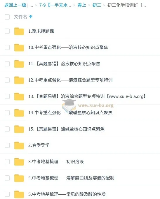 2025陈潭飞初三化学中考培训班 春上·全国版·A+ 课程资源