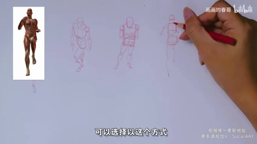 人体绘画终极指南:16节课攻克动态透视与角色设计