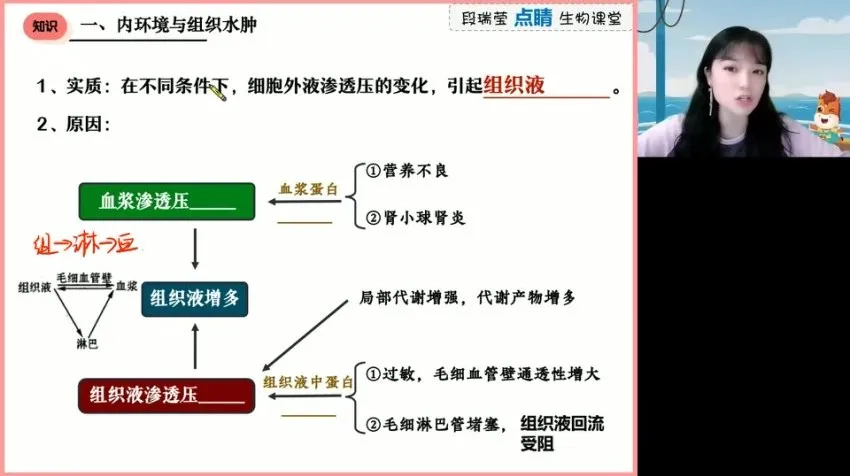2024高三生物押题班：段瑞莹点睛冲刺资源合集
