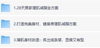 全网火爆的健身充电视频:28天居家增肌减脂+健身房方案+薄肌身材改造