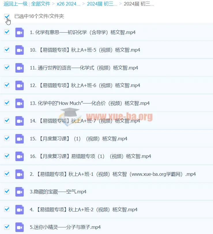 2024初三中考化学 杨雯智 A+暑假班 视频课程