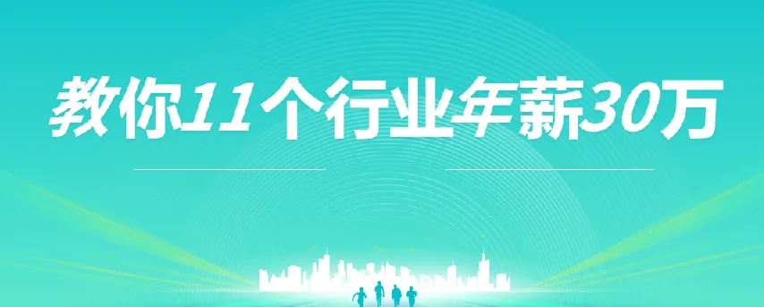 上市公司老板亲授:11个行业年薪30万实战指南