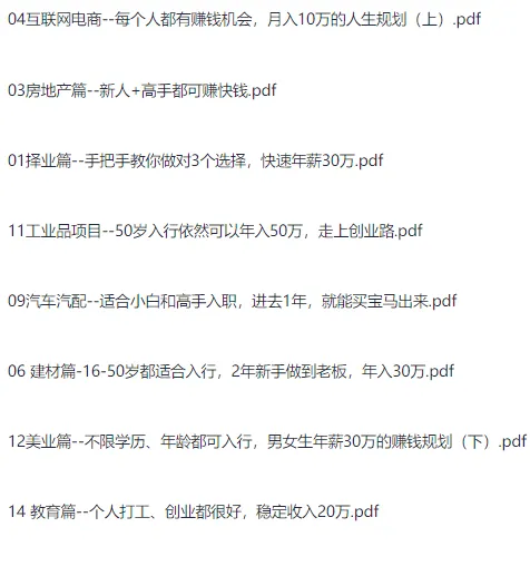 上市公司老板亲授:11个行业年薪30万实战指南