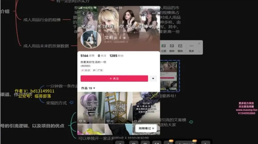 成人用品电商创业指南:新手实操课程 月入数万方法拆解