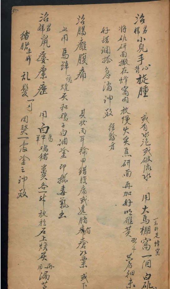 德国某大学馆藏稀缺中医古籍PDF合集