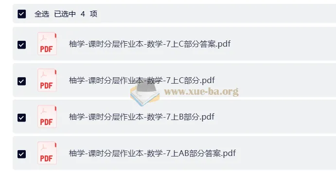初中数学7年级课时分层作业本 柚学AB卷+答案解析