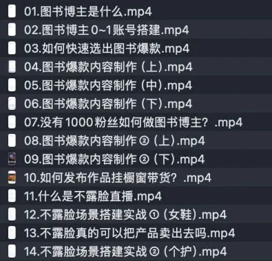 DeepSeek助力图书博主实战课:从0到1搭建账号、爆款选品与内容制作技巧