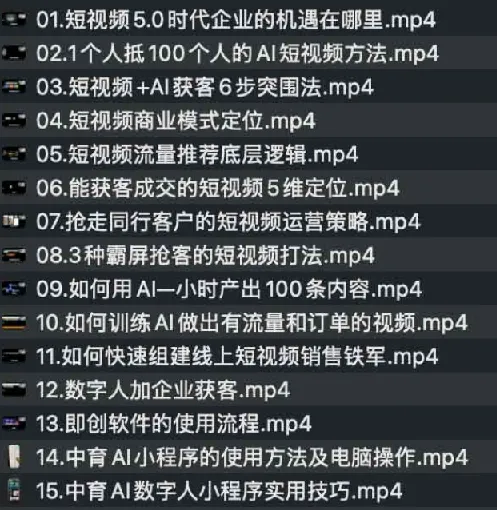2025 AI数字人工具自动获客实战课,短视频5.0营销全流程拆解