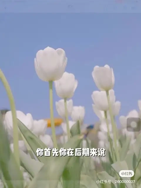 伍伍老师摄影教程：从基础到高级全攻略