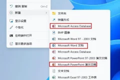 Microsoft Office全系列精简版：从2003到2024