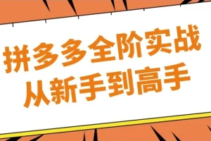 拼多多全阶实战：从新手到高手课程