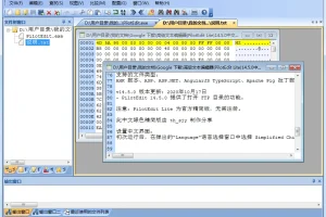 PilotEdit Lite 高级文本编辑器 18.8.0 中文绿色精简版