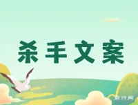 《杀手文案：掌握108封大师手抄赚钱信，开启疯狂变现之路》