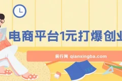 电商平台1元引流创业粉课程：日引500+精准粉