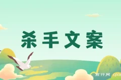 《杀手文案：掌握108封大师手抄赚钱信，开启疯狂变现之路》